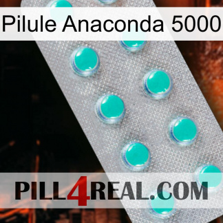 Anaconda 5000 Pill 28